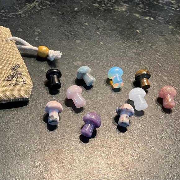 Ten Small Cute Carved Gemstone Mushrooms (NWOT) - Picture 1 of 6
